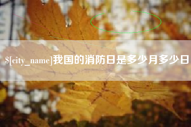 巨野我国的消防日是多少月多少日