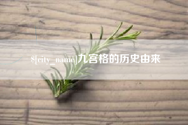 巨野九宫格的历史由来