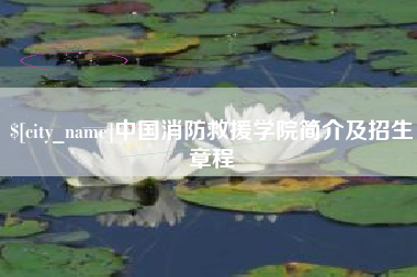 巨野中国消防救援学院简介及招生章程