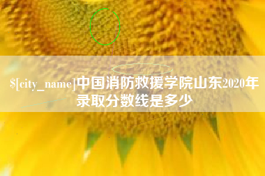 巨野中国消防救援学院山东2020年录取分数线是多少