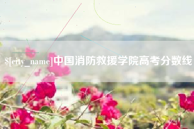 巨野中国消防救援学院高考分数线