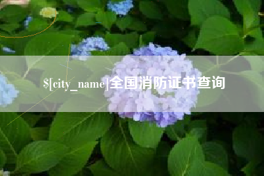 巨野全国消防证书查询