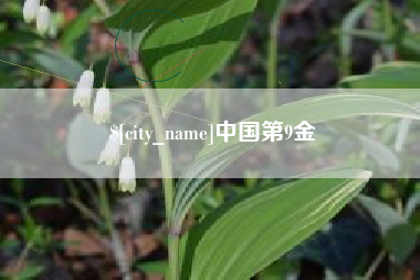 巨野中国第9金