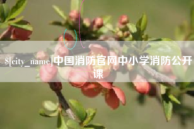 巨野中国消防官网中小学消防公开课