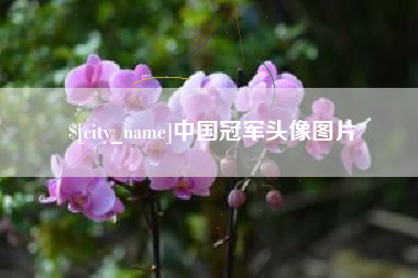 巨野中国冠军头像图片