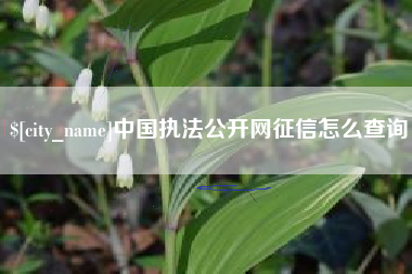 巨野中国执法公开网征信怎么查询