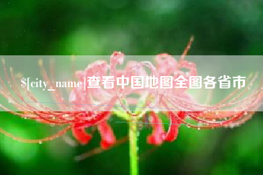 巨野查看中国地图全图各省市