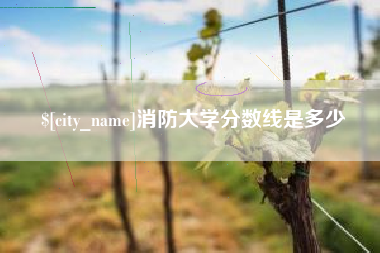 巨野消防大学分数线是多少