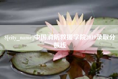巨野中国消防救援学院2019录取分数线