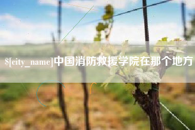 巨野中国消防救援学院在那个地方