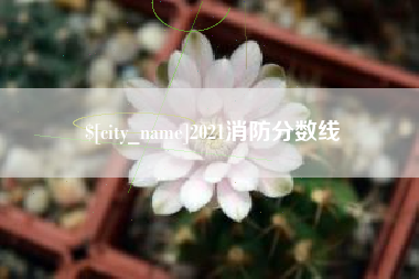 巨野2021消防分数线