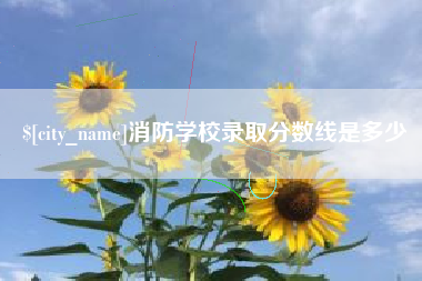 巨野消防学校录取分数线是多少