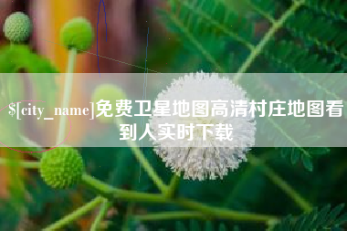 巨野免费卫星地图高清村庄地图看到人实时下载