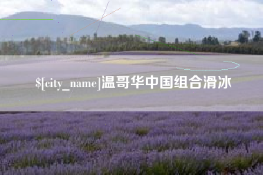 巨野温哥华中国组合滑冰