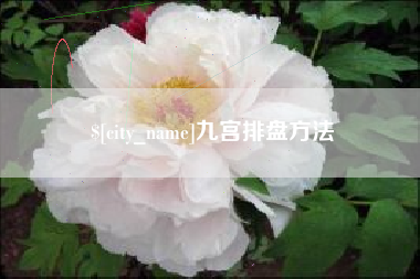 巨野九宫排盘方法