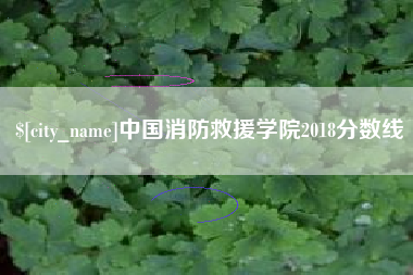 巨野中国消防救援学院2018分数线