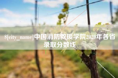 巨野中国消防救援学院2020年各省录取分数线