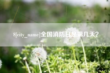 巨野全国消防日是第几天？
