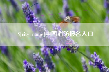 巨野中国消防报名入口