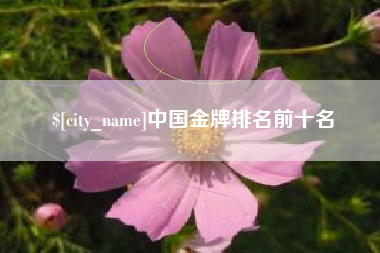 巨野中国金牌排名前十名