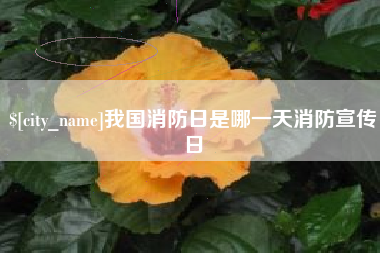 巨野我国消防日是哪一天消防宣传日