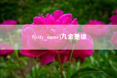 巨野九金是谁
