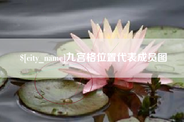 巨野九宫格位置代表成员图