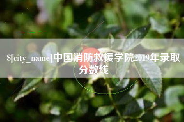 巨野中国消防救援学院2019年录取分数线