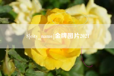 巨野金牌图片2021
