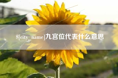 巨野九宫位代表什么意思
