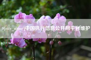 巨野中国执行信息公开网平台维护