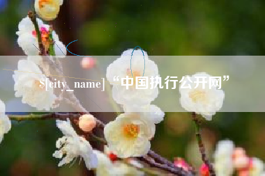 巨野“中国执行公开网”