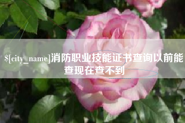 巨野消防职业技能证书查询以前能查现在查不到