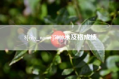巨野5000米及格成绩