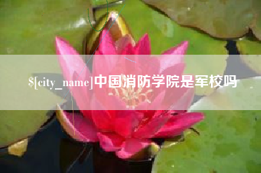 巨野中国消防学院是军校吗