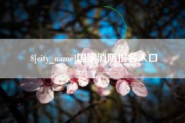 巨野国家消防报名入口