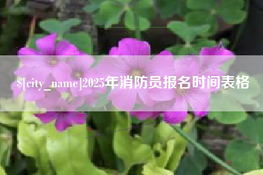 巨野2025年消防员报名时间表格