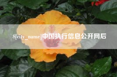 巨野中国执行信息公开网后