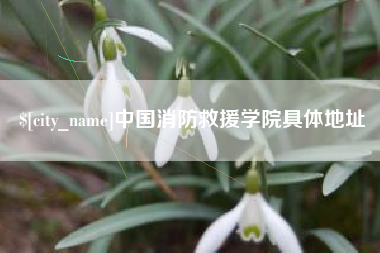 巨野中国消防救援学院具体地址