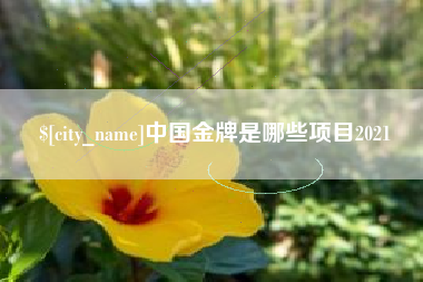 巨野中国金牌是哪些项目2021