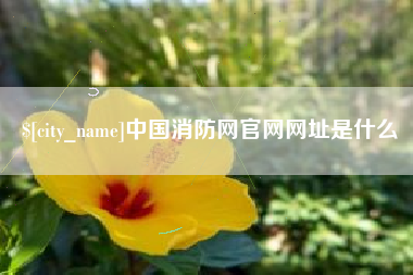 巨野中国消防网官网网址是什么