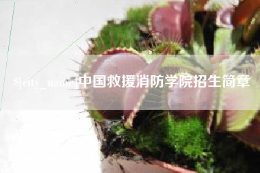 巨野中国救援消防学院招生简章