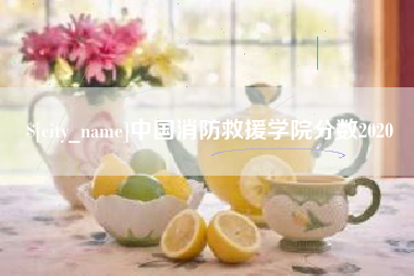 巨野中国消防救援学院分数2020