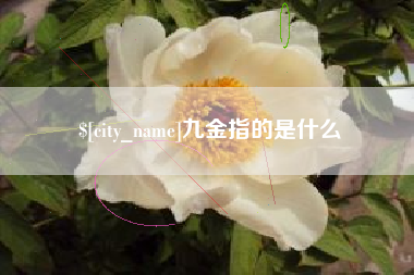 巨野九金指的是什么
