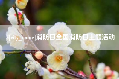 巨野消防日全国消防日主题活动