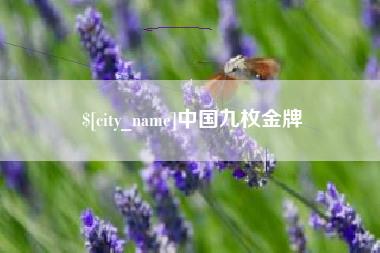 巨野中国九枚金牌