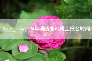 巨野2020年消防考试网上报名时间