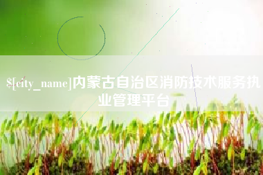 巨野内蒙古自治区消防技术服务执业管理平台
