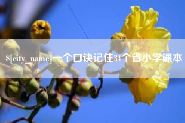 巨野一个口诀记住34个省小学课本