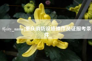 巨野重庆消防设施操作员证报考条件